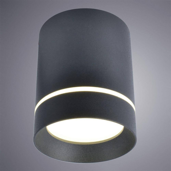 Потолочный светодиодный светильник Arte Lamp ELLE A1909PL-1BK