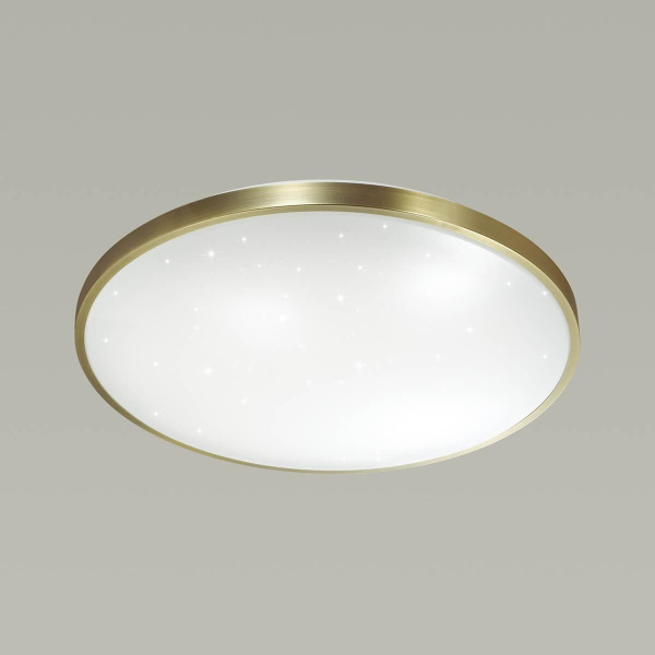 Настенно-потолочный светодиодный светильник Sonex Lota Bronze 2089/DL